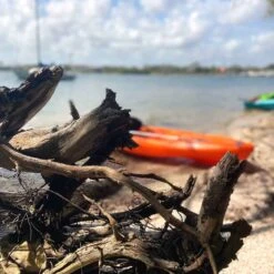 Pelican Sport Pulse 100X With Paddle Kayak -Pelicansport KOS10P102 00 LS4