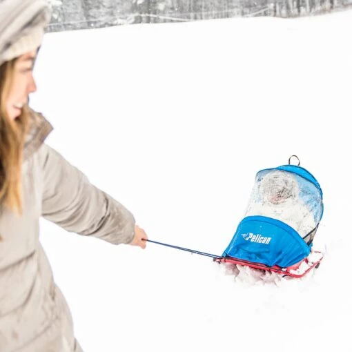 Pelican Sport Pelican Baby Sled Deluxe -Pelicansport LUGE